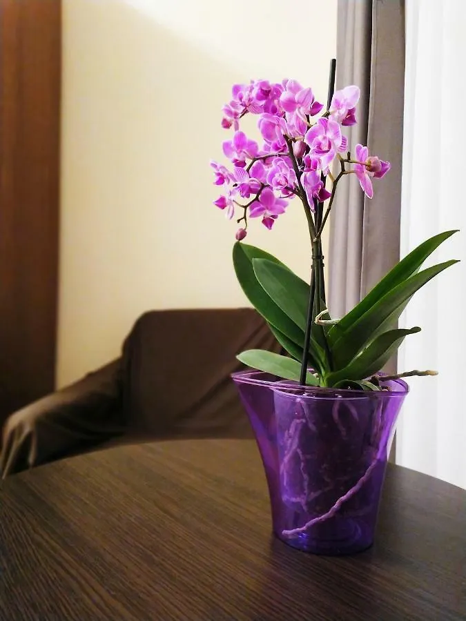 Центр Свободи Lviv Apartment